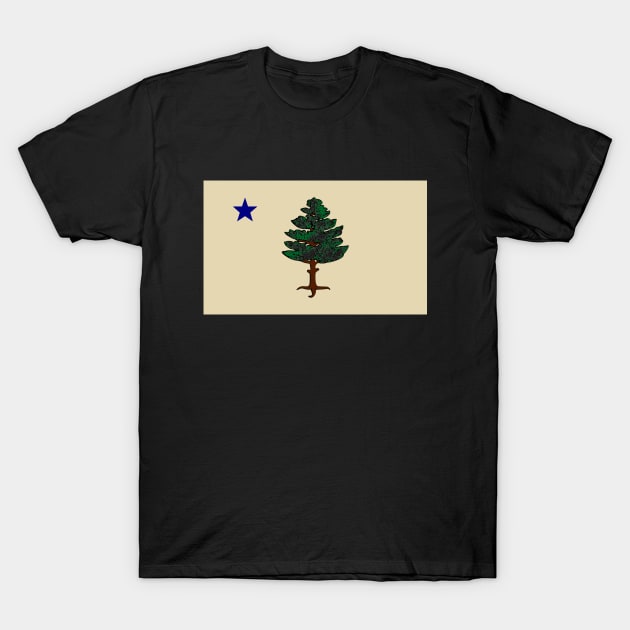 Maine Flag 1901 T-Shirt by The Sarah Gibs